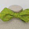 Ashbury Green Diamond Point Bow Tie