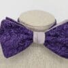 Purple Paisley Bow Tie