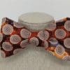 Orange Circles Bow Tie