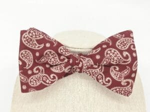 Paisley Pattern Bow Ties