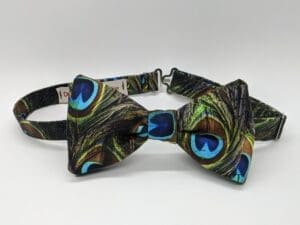 Peacock Eyes Bow Tie