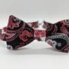 Red & Black Bow Tie