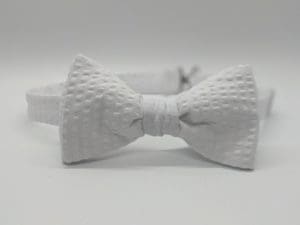 Seersucker Bow Ties