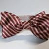 Crimson Stripe Bow Tie
