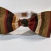 Fall Flowers Bow Ties