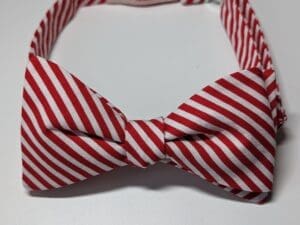 Diagonal Stripe Bow Ties